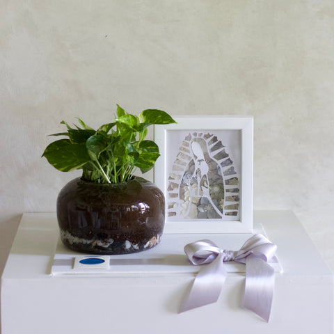 Set Julieta