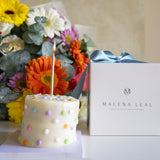 Gerberas Celebration