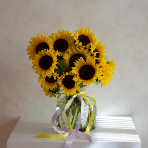 Girasoles