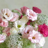 Jardín de Lisianthus