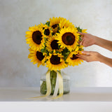 Girasoles