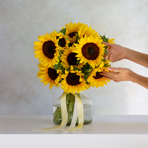 Girasoles