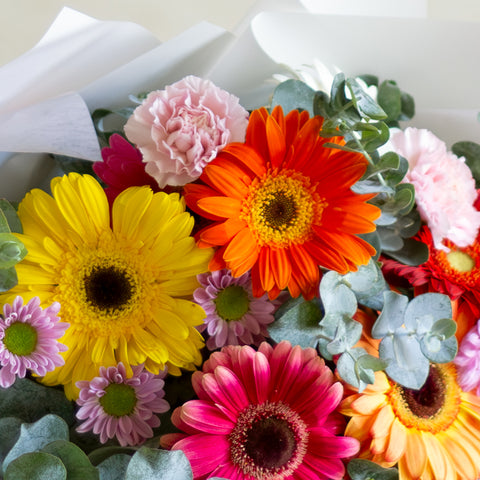 Ramo Gerberas