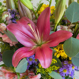 Primavera