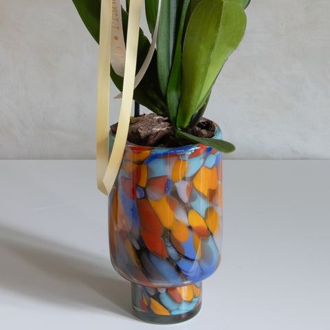 Orquídea en vidrio soplado