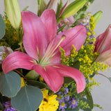 Primavera