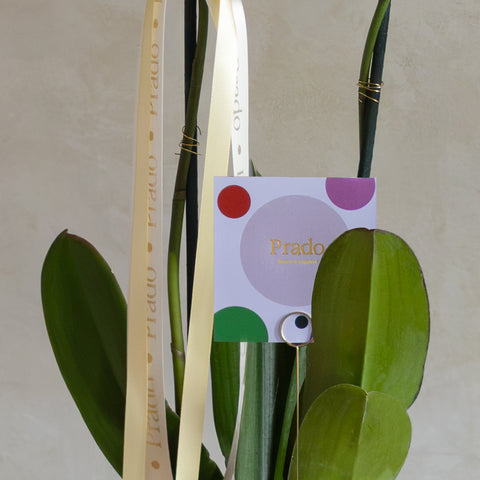 Orquídea en vidrio soplado