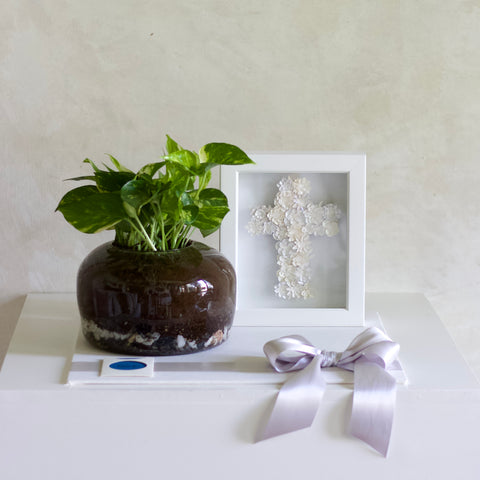 Set Julieta