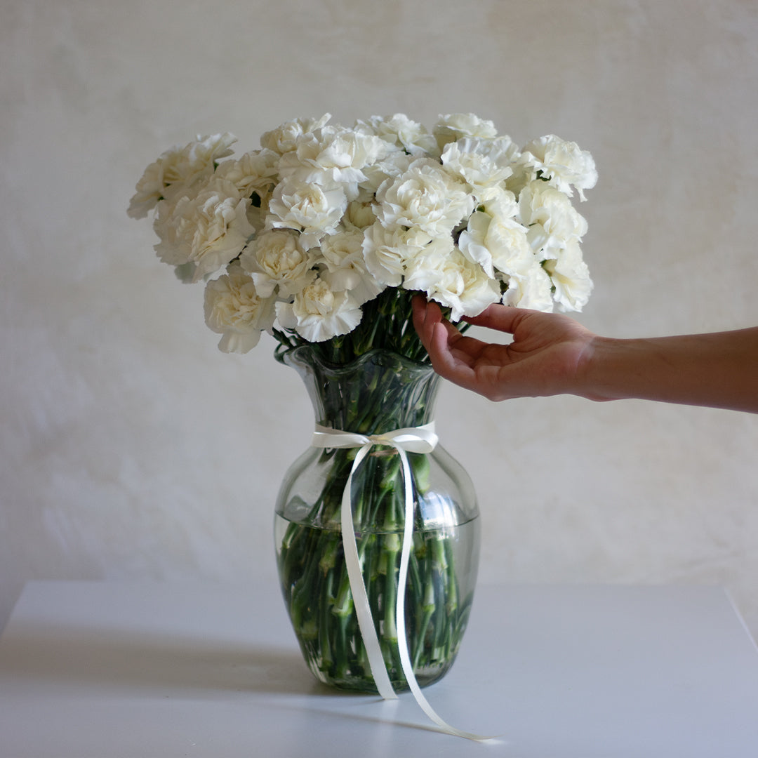 Clavel en blanco