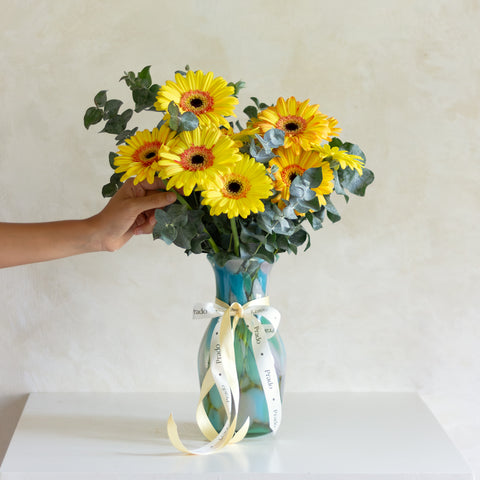 Gerberas