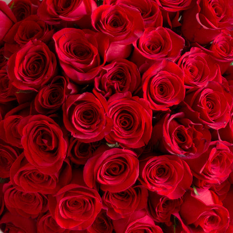 Rosas